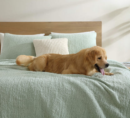 Snug + Bamboo Viscose Sham Set